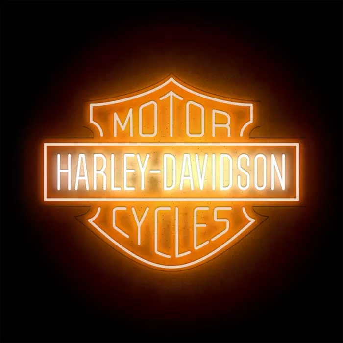 Néon LED mural - HARLEY DAVIDSON – Image 2